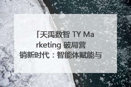 天禹数智 TY Marketing 破局营销新时代：智能体赋能与人才培育双轮驱动