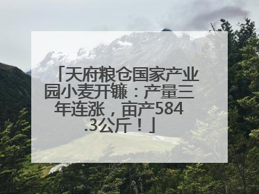 天府粮仓国家产业园小麦开镰：产量三年连涨，亩产584.3公斤！