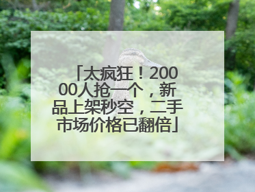太疯狂！20000人抢一个，新品上架秒空，二手市场价格已翻倍