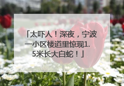 太吓人！深夜，宁波一小区楼道里惊现1.5米长大白蛇！
