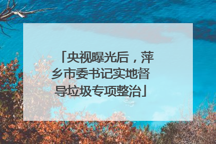 央视曝光后，萍乡市委书记实地督导垃圾专项整治