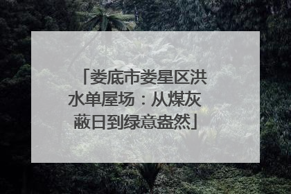 娄底市娄星区洪水单屋场：从煤灰蔽日到绿意盎然