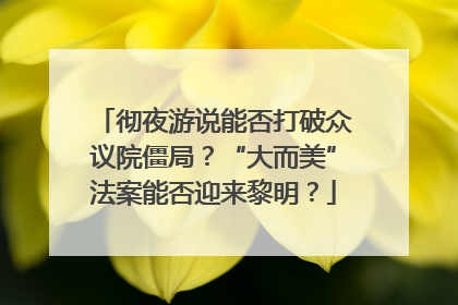 彻夜游说能否打破众议院僵局？“大而美”法案能否迎来黎明？