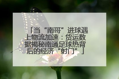 当“南哥”进球遇上物流加速：货运数据揭秘南通足球热背后的经济“射门”