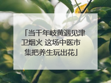 当千年岐黄遇见津卫烟火 这场中医市集把养生玩出花