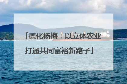 德化杨梅：以立体农业打通共同富裕新路子