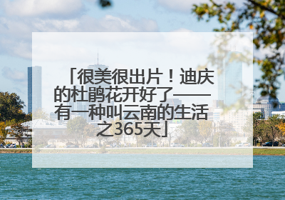 很美很出片！迪庆的杜鹃花开好了——有一种叫云南的生活之365天