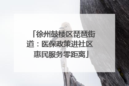 徐州鼓楼区琵琶街道：医保政策进社区 惠民服务零距离