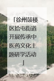 徐州鼓楼区拾屯街道开展传承中医药文化主题研学活动