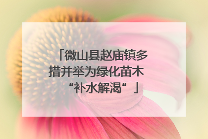 微山县赵庙镇多措并举为绿化苗木“补水解渴”