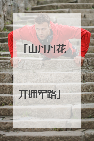 山丹丹花开拥军路