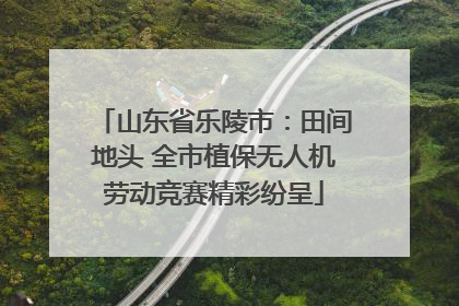 山东省乐陵市：田间地头 全市植保无人机劳动竞赛精彩纷呈