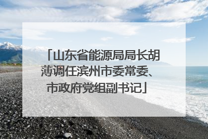 山东省能源局局长胡薄调任滨州市委常委、市政府党组副书记