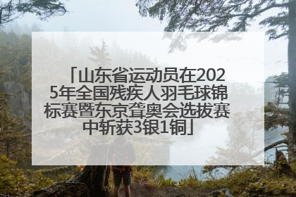 山东省运动员在2025年全国残疾人羽毛球锦标赛暨东京聋奥会选拔赛中斩获3银1铜