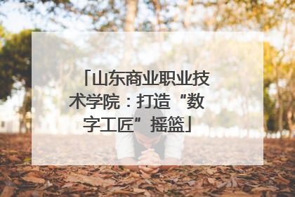 山东商业职业技术学院：打造“数字工匠”摇篮