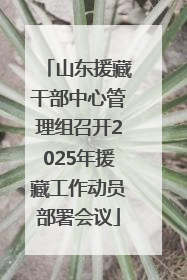 山东援藏干部中心管理组召开2025年援藏工作动员部署会议