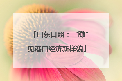 山东日照：“瞰”见港口经济新样貌