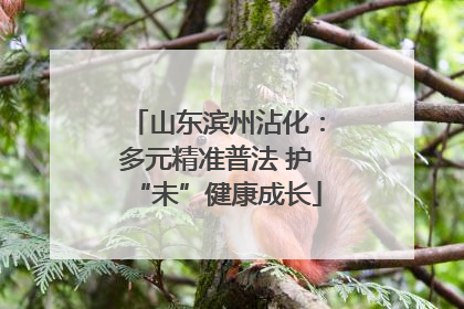山东滨州沾化：多元精准普法 护“未”健康成长