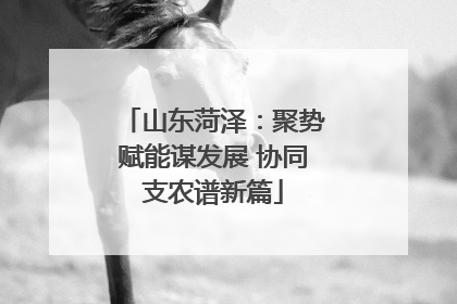 山东菏泽：聚势赋能谋发展 协同支农谱新篇