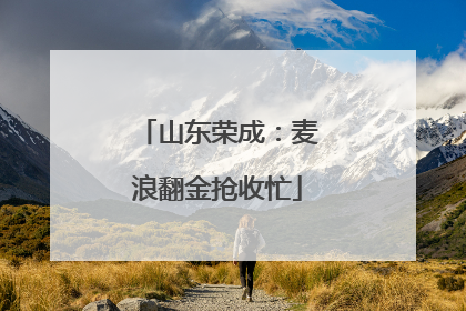 山东荣成：麦浪翻金抢收忙