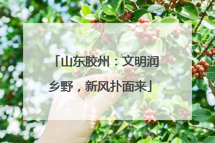 山东胶州：文明润乡野，新风扑面来