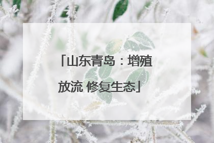 山东青岛：增殖放流 修复生态