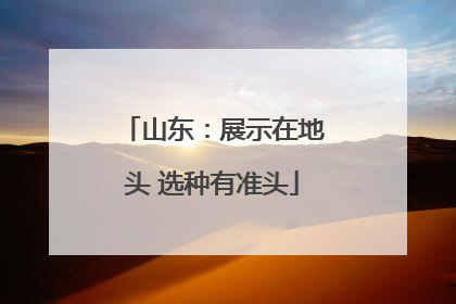 山东：展示在地头 选种有准头