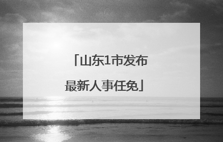 山东1市发布最新人事任免