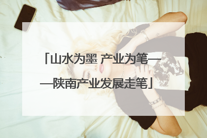 山水为墨 产业为笔——陕南产业发展走笔