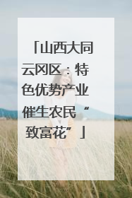 山西大同云冈区：特色优势产业催生农民“致富花”