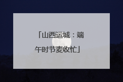 山西运城：端午时节麦收忙