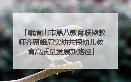 峨眉山市第八教育联盟教师齐聚峨眉实幼共探幼儿教育高质量发展新路径