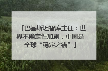 巴基斯坦智库主任：世界不确定性加剧，中国是全球“稳定之锚”