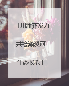川渝齐发力 共绘濑溪河生态长卷