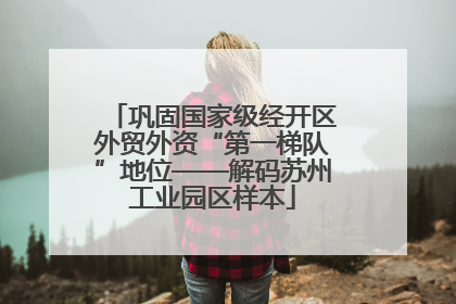巩固国家级经开区外贸外资“第一梯队”地位——解码苏州工业园区样本