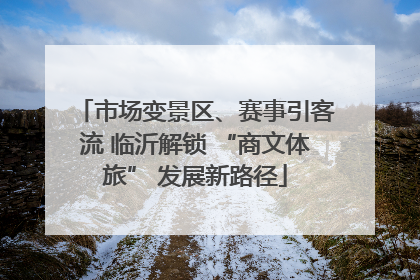 市场变景区、赛事引客流 临沂解锁 “商文体旅” 发展新路径