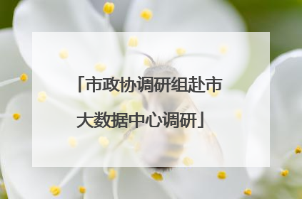 市政协调研组赴市大数据中心调研