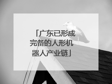 广东已形成完备的人形机器人产业链