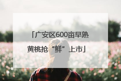 广安区600亩早熟黄桃抢“鲜”上市