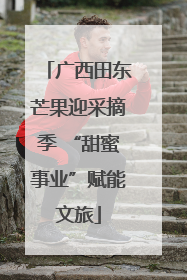 广西田东芒果迎采摘季 “甜蜜事业”赋能文旅