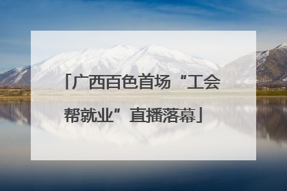 广西百色首场“工会帮就业”直播落幕