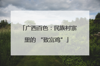 广西百色：民族村寨里的 “致富鸡”