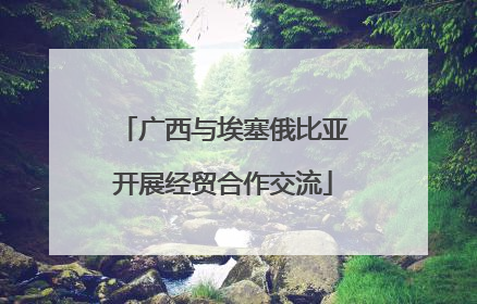 广西与埃塞俄比亚开展经贸合作交流