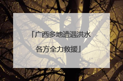 广西多地遭遇洪水 各方全力救援