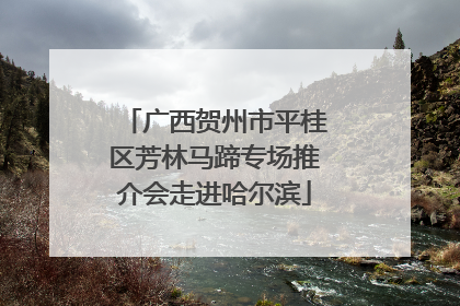 广西贺州市平桂区芳林马蹄专场推介会走进哈尔滨