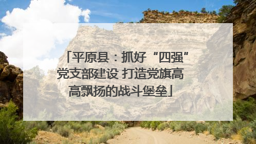 平原县：抓好“四强”党支部建设 打造党旗高高飘扬的战斗堡垒