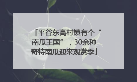 平谷东高村镇有个“南瓜王国”，30余种奇特南瓜迎来观赏季