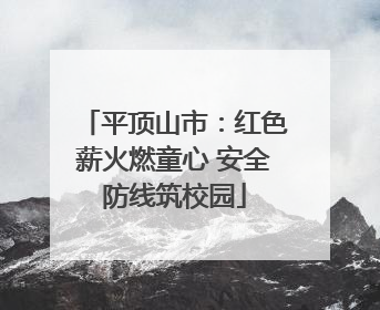 平顶山市：红色薪火燃童心 安全防线筑校园