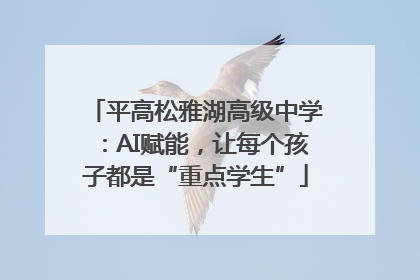 平高松雅湖高级中学：AI赋能，让每个孩子都是“重点学生”