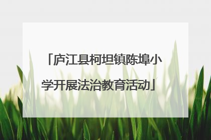 庐江县柯坦镇陈埠小学开展法治教育活动
